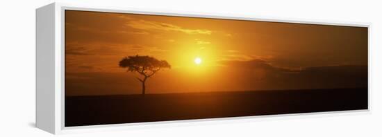 Sunrise over a Landscape, Masai Mara National Reserve, Kenya-null-Framed Premier Image Canvas