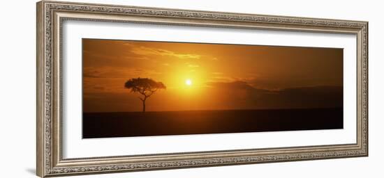 Sunrise over a Landscape, Masai Mara National Reserve, Kenya-null-Framed Photographic Print