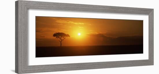 Sunrise over a Landscape, Masai Mara National Reserve, Kenya-null-Framed Photographic Print