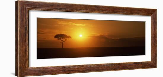 Sunrise over a Landscape, Masai Mara National Reserve, Kenya-null-Framed Photographic Print