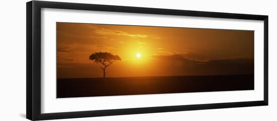 Sunrise over a Landscape, Masai Mara National Reserve, Kenya-null-Framed Photographic Print