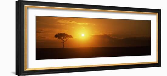 Sunrise over a Landscape, Masai Mara National Reserve, Kenya-null-Framed Photographic Print