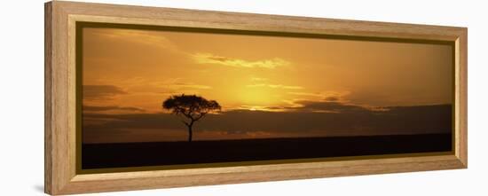 Sunrise over a Landscape, Masai Mara National Reserve, Kenya-null-Framed Premier Image Canvas