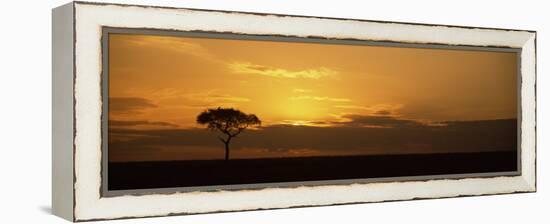 Sunrise over a Landscape, Masai Mara National Reserve, Kenya-null-Framed Premier Image Canvas