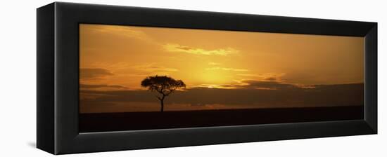 Sunrise over a Landscape, Masai Mara National Reserve, Kenya-null-Framed Premier Image Canvas