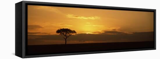 Sunrise over a Landscape, Masai Mara National Reserve, Kenya-null-Framed Premier Image Canvas