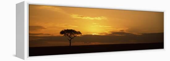 Sunrise over a Landscape, Masai Mara National Reserve, Kenya-null-Framed Premier Image Canvas