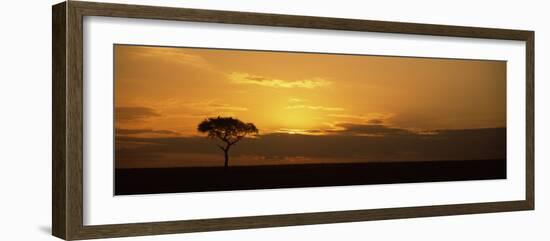 Sunrise over a Landscape, Masai Mara National Reserve, Kenya-null-Framed Photographic Print