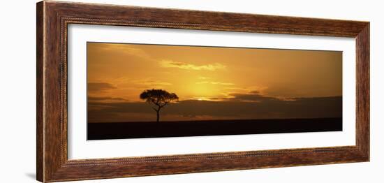 Sunrise over a Landscape, Masai Mara National Reserve, Kenya-null-Framed Photographic Print