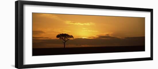 Sunrise over a Landscape, Masai Mara National Reserve, Kenya-null-Framed Photographic Print