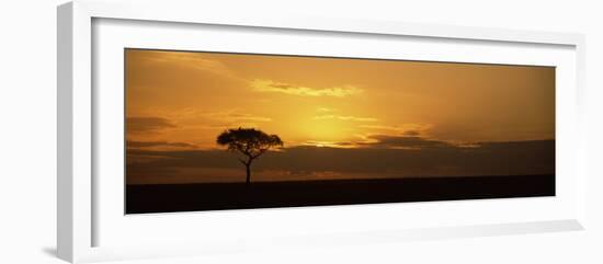 Sunrise over a Landscape, Masai Mara National Reserve, Kenya-null-Framed Photographic Print