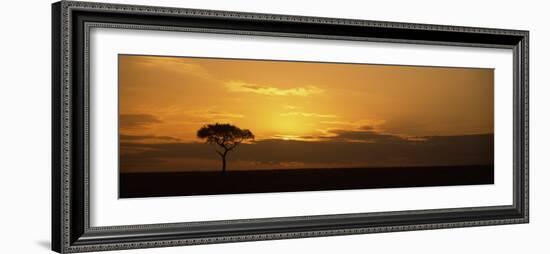 Sunrise over a Landscape, Masai Mara National Reserve, Kenya-null-Framed Photographic Print