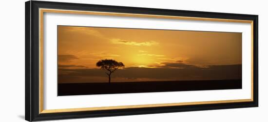 Sunrise over a Landscape, Masai Mara National Reserve, Kenya-null-Framed Photographic Print