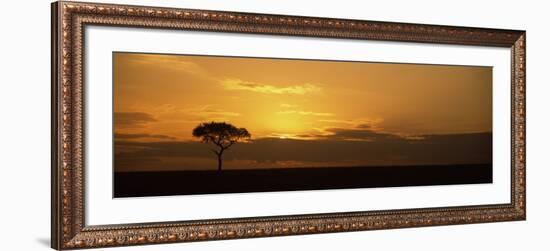 Sunrise over a Landscape, Masai Mara National Reserve, Kenya-null-Framed Photographic Print