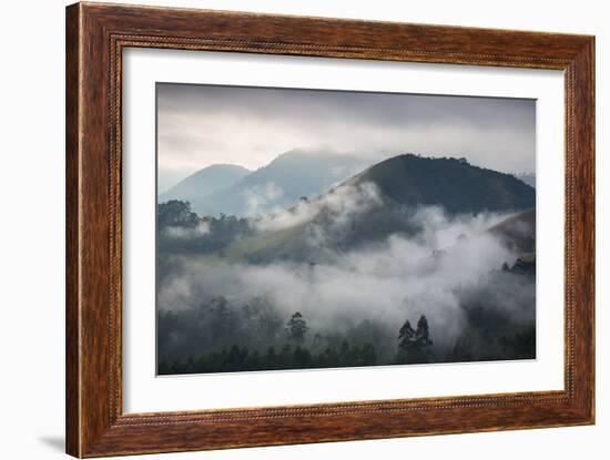 Sunrise over a Misty Landscape in the Sao Francisco Xavier Region in Sao Paulo State, Brazil-Alex Saberi-Framed Photographic Print