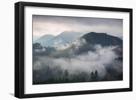 Sunrise over a Misty Landscape in the Sao Francisco Xavier Region in Sao Paulo State, Brazil-Alex Saberi-Framed Photographic Print