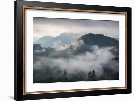 Sunrise over a Misty Landscape in the Sao Francisco Xavier Region in Sao Paulo State, Brazil-Alex Saberi-Framed Photographic Print