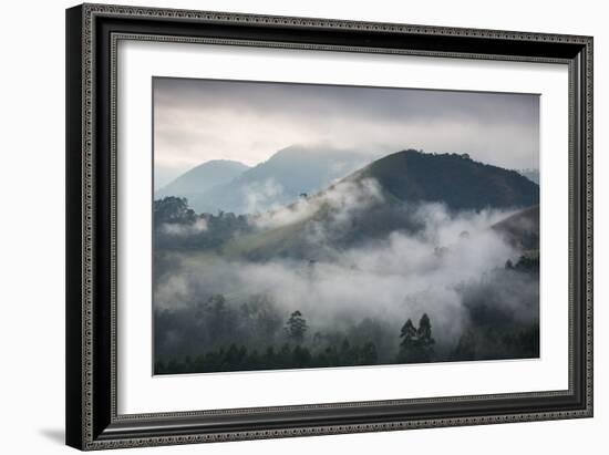 Sunrise over a Misty Landscape in the Sao Francisco Xavier Region in Sao Paulo State, Brazil-Alex Saberi-Framed Photographic Print