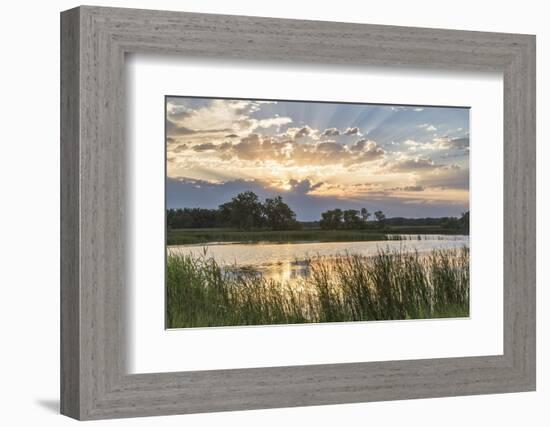 Sunrise over Backwater of the Milk River Near Glasgow, Montana, USA-Chuck Haney-Framed Photographic Print