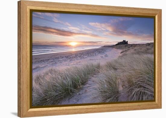 Sunrise over Bamburgh Beach and Castle from the Sand Dunes, Northumberland, England. Spring (March)-Adam Burton-Framed Premier Image Canvas