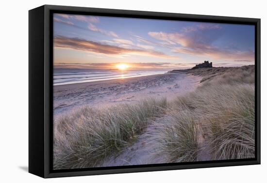 Sunrise over Bamburgh Beach and Castle from the Sand Dunes, Northumberland, England. Spring (March)-Adam Burton-Framed Premier Image Canvas