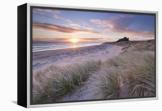 Sunrise over Bamburgh Beach and Castle from the Sand Dunes, Northumberland, England. Spring (March)-Adam Burton-Framed Premier Image Canvas