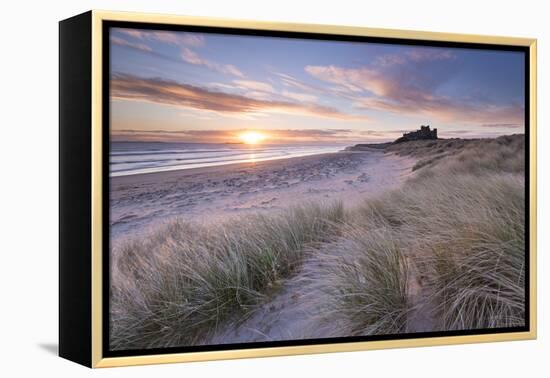 Sunrise over Bamburgh Beach and Castle from the Sand Dunes, Northumberland, England. Spring (March)-Adam Burton-Framed Premier Image Canvas