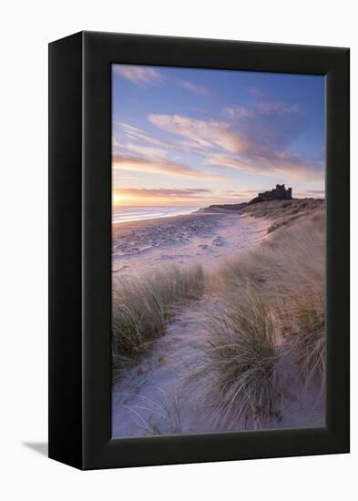 Sunrise over Bamburgh Beach and Castle from the Sand Dunes, Northumberland, England. Spring (March)-Adam Burton-Framed Premier Image Canvas