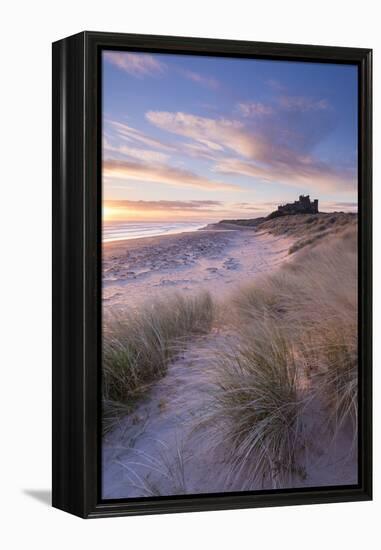 Sunrise over Bamburgh Beach and Castle from the Sand Dunes, Northumberland, England. Spring (March)-Adam Burton-Framed Premier Image Canvas