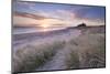 Sunrise over Bamburgh Beach and Castle from the Sand Dunes, Northumberland, England. Spring (March)-Adam Burton-Mounted Photographic Print