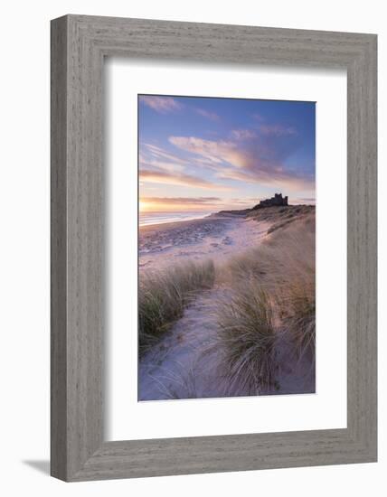 Sunrise over Bamburgh Beach and Castle from the Sand Dunes, Northumberland, England. Spring (March)-Adam Burton-Framed Photographic Print