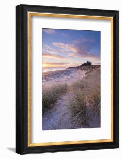 Sunrise over Bamburgh Beach and Castle from the Sand Dunes, Northumberland, England. Spring (March)-Adam Burton-Framed Photographic Print