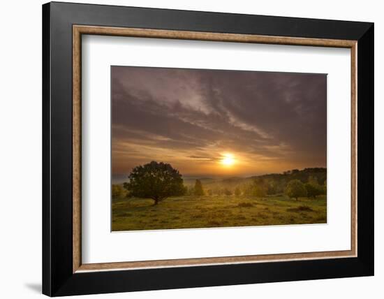 Sunrise over Beacon Hill Country Park, the National Forest, Leicestershire, UK, October-Ben Hall-Framed Photographic Print