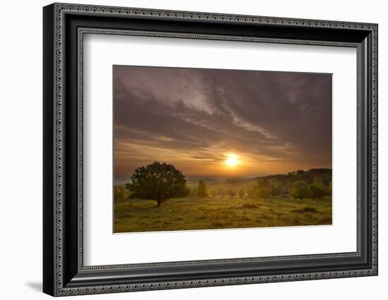 Sunrise over Beacon Hill Country Park, the National Forest, Leicestershire, UK, October-Ben Hall-Framed Photographic Print