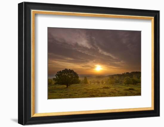 Sunrise over Beacon Hill Country Park, the National Forest, Leicestershire, UK, October-Ben Hall-Framed Photographic Print