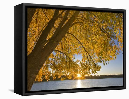 Sunrise over Black Dog Lake, Minnesota Valley NWR, Minneapolis, Minnesota, USA-Chuck Haney-Framed Premier Image Canvas