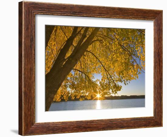 Sunrise over Black Dog Lake, Minnesota Valley NWR, Minneapolis, Minnesota, USA-Chuck Haney-Framed Photographic Print