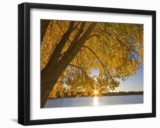 Sunrise over Black Dog Lake, Minnesota Valley NWR, Minneapolis, Minnesota, USA-Chuck Haney-Framed Photographic Print