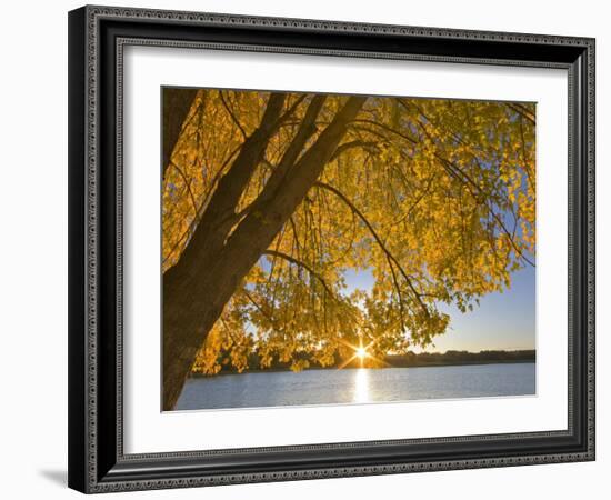 Sunrise over Black Dog Lake, Minnesota Valley NWR, Minneapolis, Minnesota, USA-Chuck Haney-Framed Photographic Print