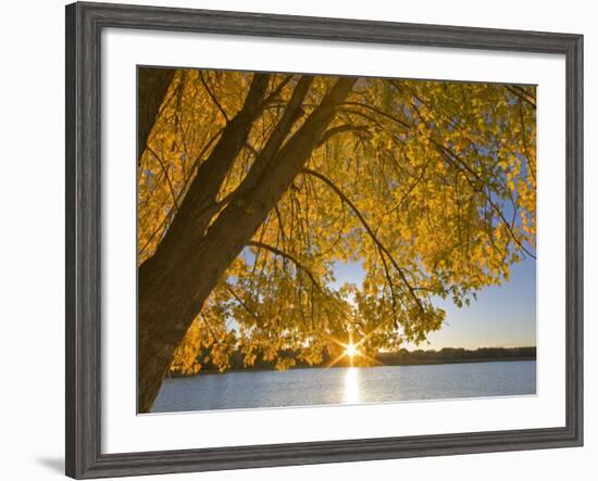 Sunrise over Black Dog Lake, Minnesota Valley NWR, Minneapolis, Minnesota, USA-Chuck Haney-Framed Photographic Print