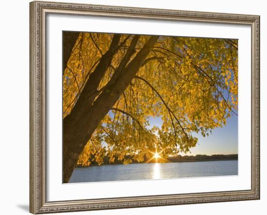 Sunrise over Black Dog Lake, Minnesota Valley NWR, Minneapolis, Minnesota, USA-Chuck Haney-Framed Photographic Print