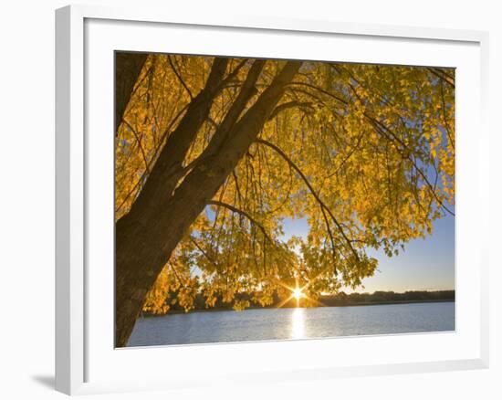 Sunrise over Black Dog Lake, Minnesota Valley NWR, Minneapolis, Minnesota, USA-Chuck Haney-Framed Photographic Print