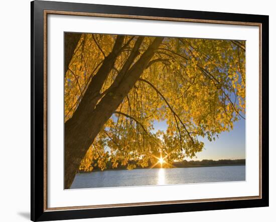 Sunrise over Black Dog Lake, Minnesota Valley NWR, Minneapolis, Minnesota, USA-Chuck Haney-Framed Photographic Print