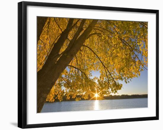 Sunrise over Black Dog Lake, Minnesota Valley NWR, Minneapolis, Minnesota, USA-Chuck Haney-Framed Photographic Print