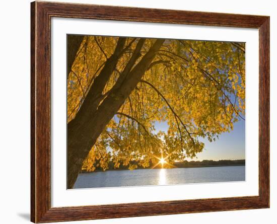 Sunrise over Black Dog Lake, Minnesota Valley NWR, Minneapolis, Minnesota, USA-Chuck Haney-Framed Photographic Print