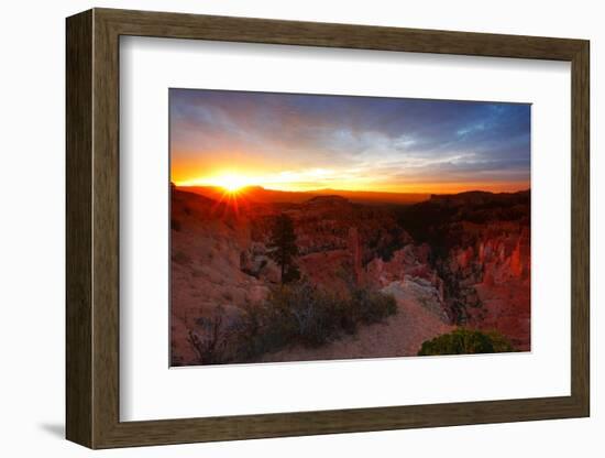 Sunrise over Bryce Canyon, Utah-Geraint Tellem-Framed Photographic Print