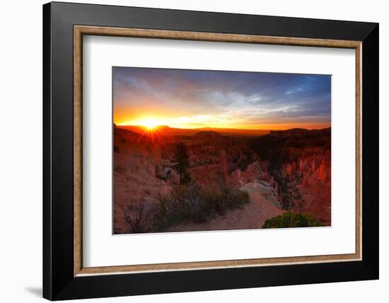 Sunrise over Bryce Canyon, Utah-Geraint Tellem-Framed Photographic Print