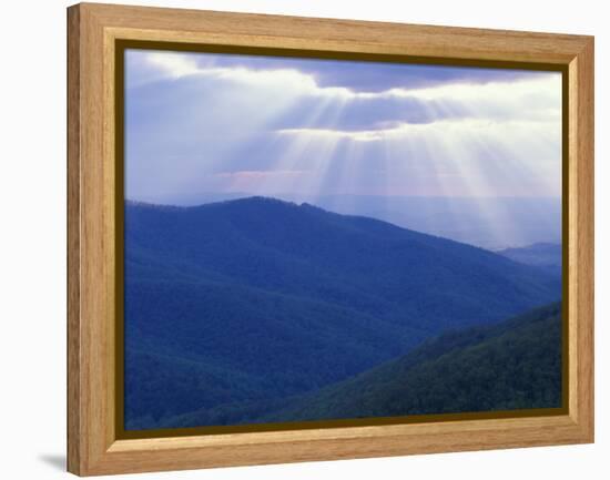 Sunrise over Buck Hollow, Shenandoah National Park, Virginia, USA-Charles Gurche-Framed Premier Image Canvas