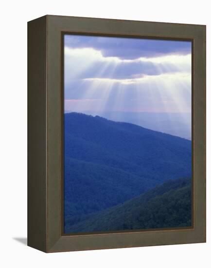 Sunrise over Buck Hollow, Shenandoah National Park, Virginia, USA-Charles Gurche-Framed Premier Image Canvas