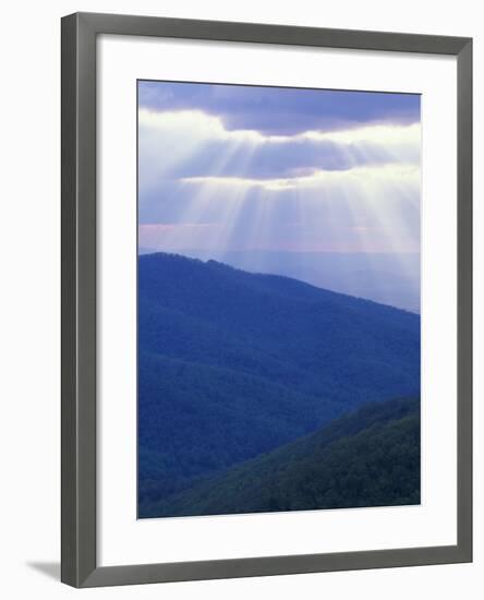 Sunrise over Buck Hollow, Shenandoah National Park, Virginia, USA-Charles Gurche-Framed Photographic Print